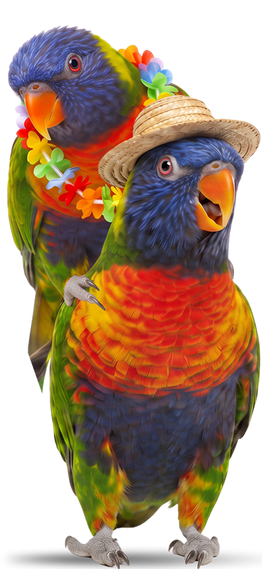 Parakeet mascot standing on a suitcase