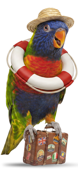 Parakeet mascot standing on a suitcase