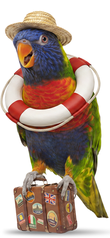 Parakeet mascot standing on a suitcase