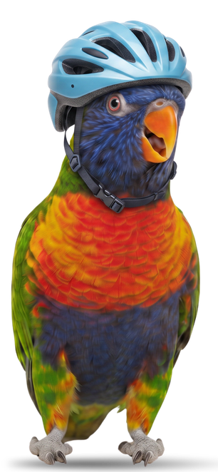 Parakeet mascot with helmet
