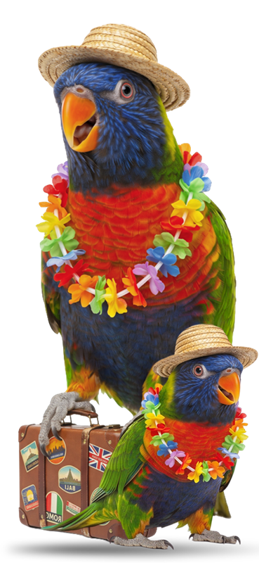 Parakeet mascot standing on a suitcase with a baby parakeet