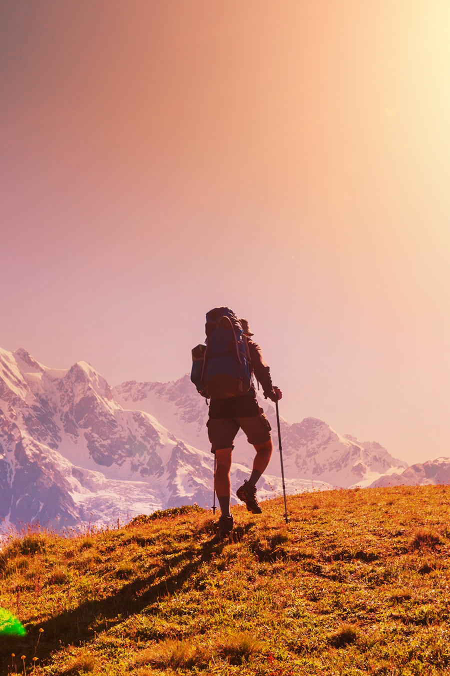 traveller hiking