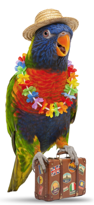 Parakeet mascot standing on a suitcase