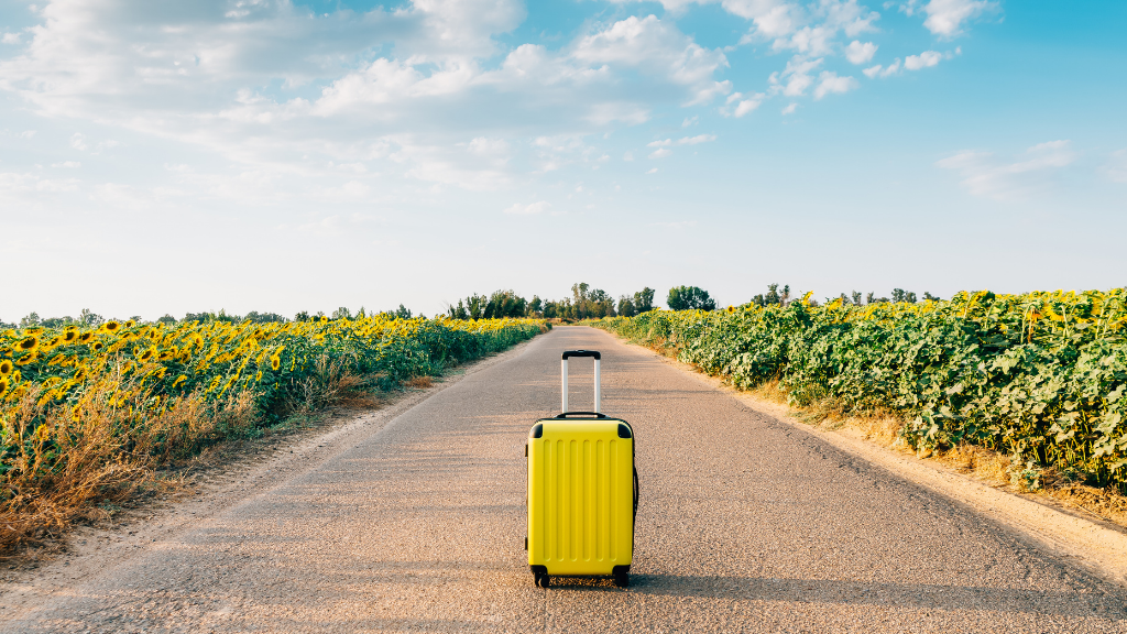 yellow suitcase in sunflower field