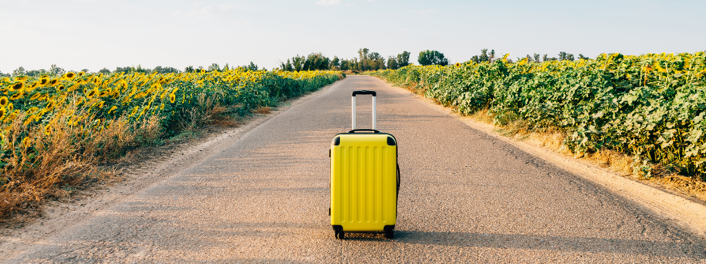 yellow suitcase in sunflower field