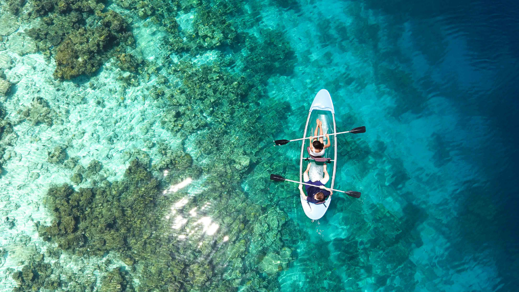 two people kayaking