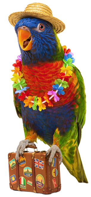 Parakeet mascot with suitcase