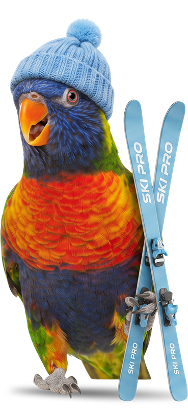 Parakeet mascot standing on a suitcase