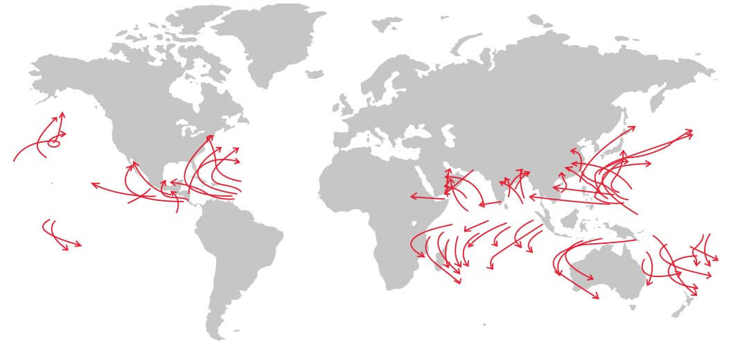 hurricaine cyclone map