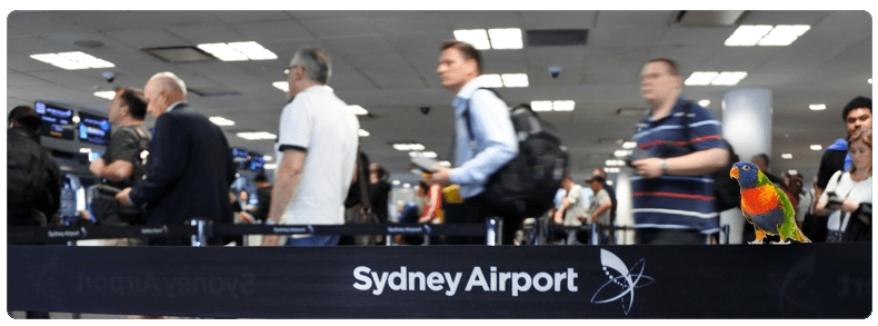 airport security travel delays