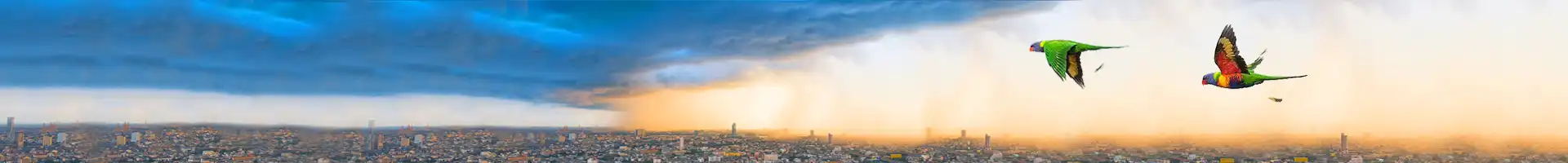 Natural Disasters Travel Insurance