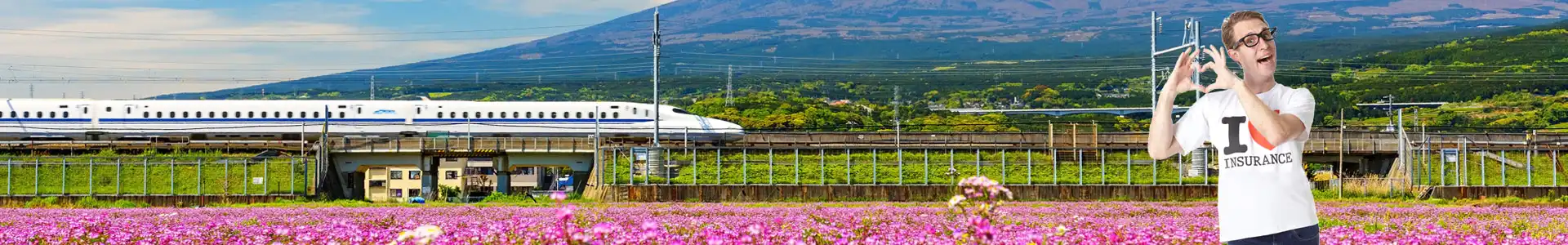 Rail Passes travel insurance