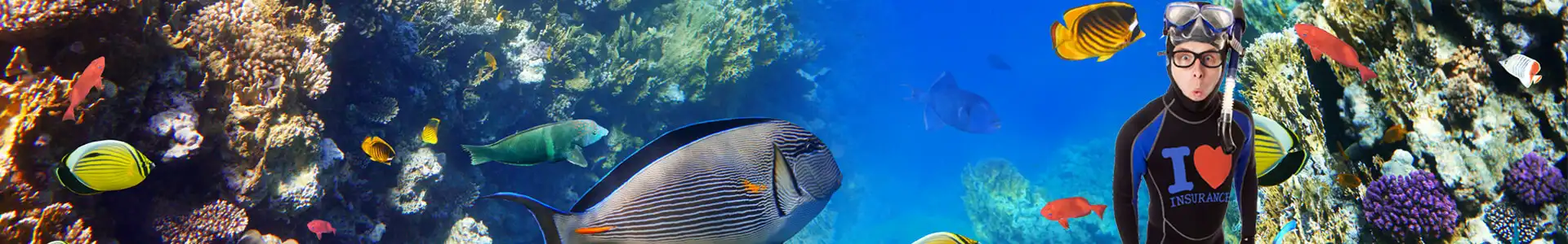 Scuba Diving Travel Insurance
